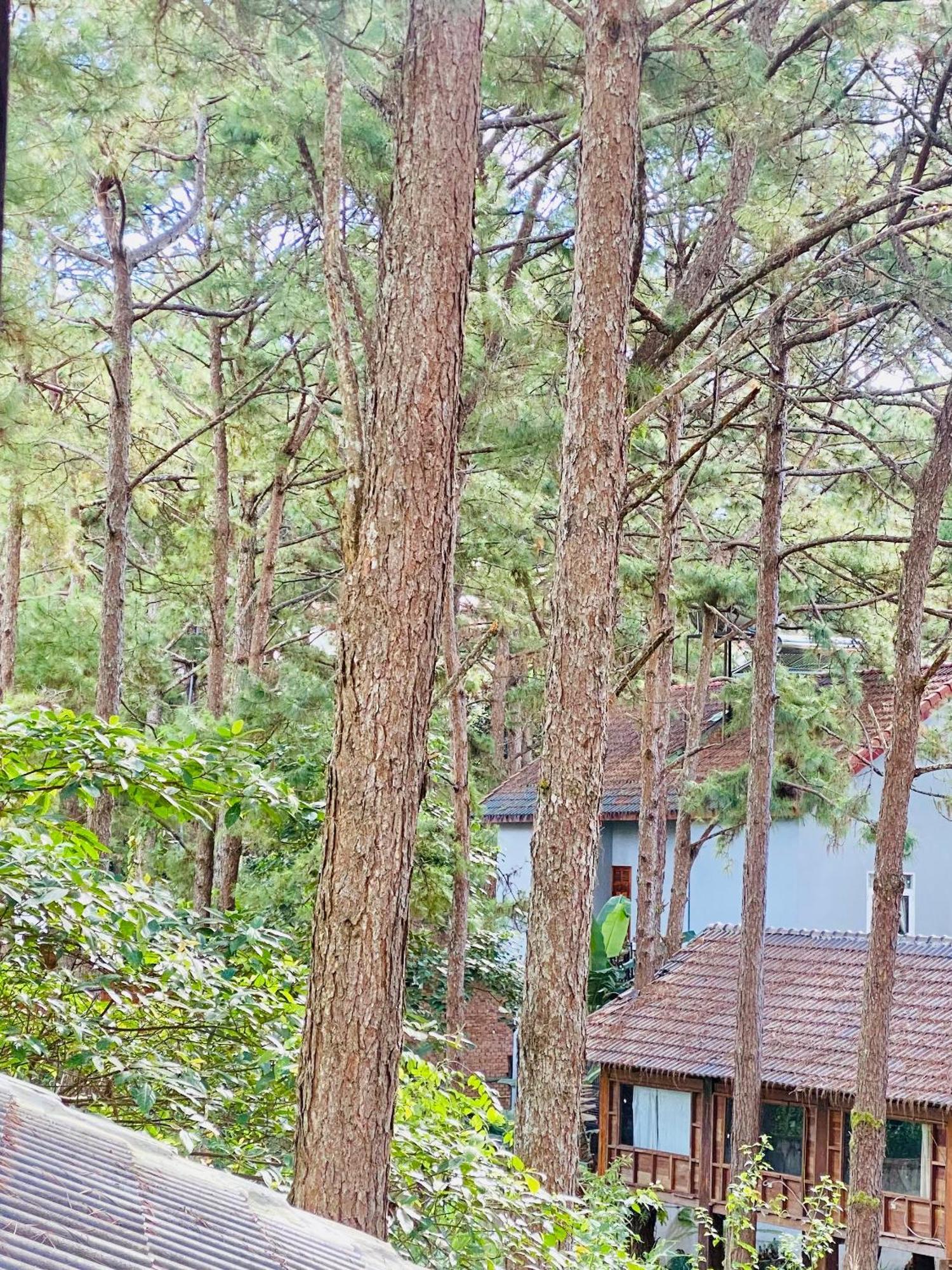 Tron Homestay Kon Von Kla Luaran gambar