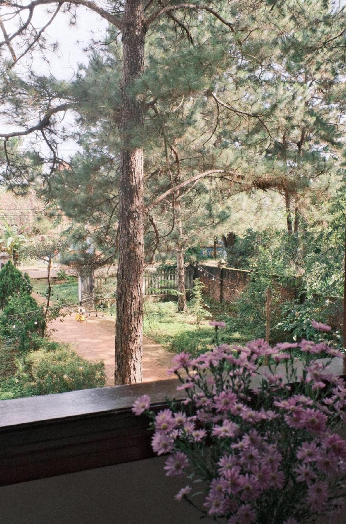 Tron Homestay Kon Von Kla Luaran gambar