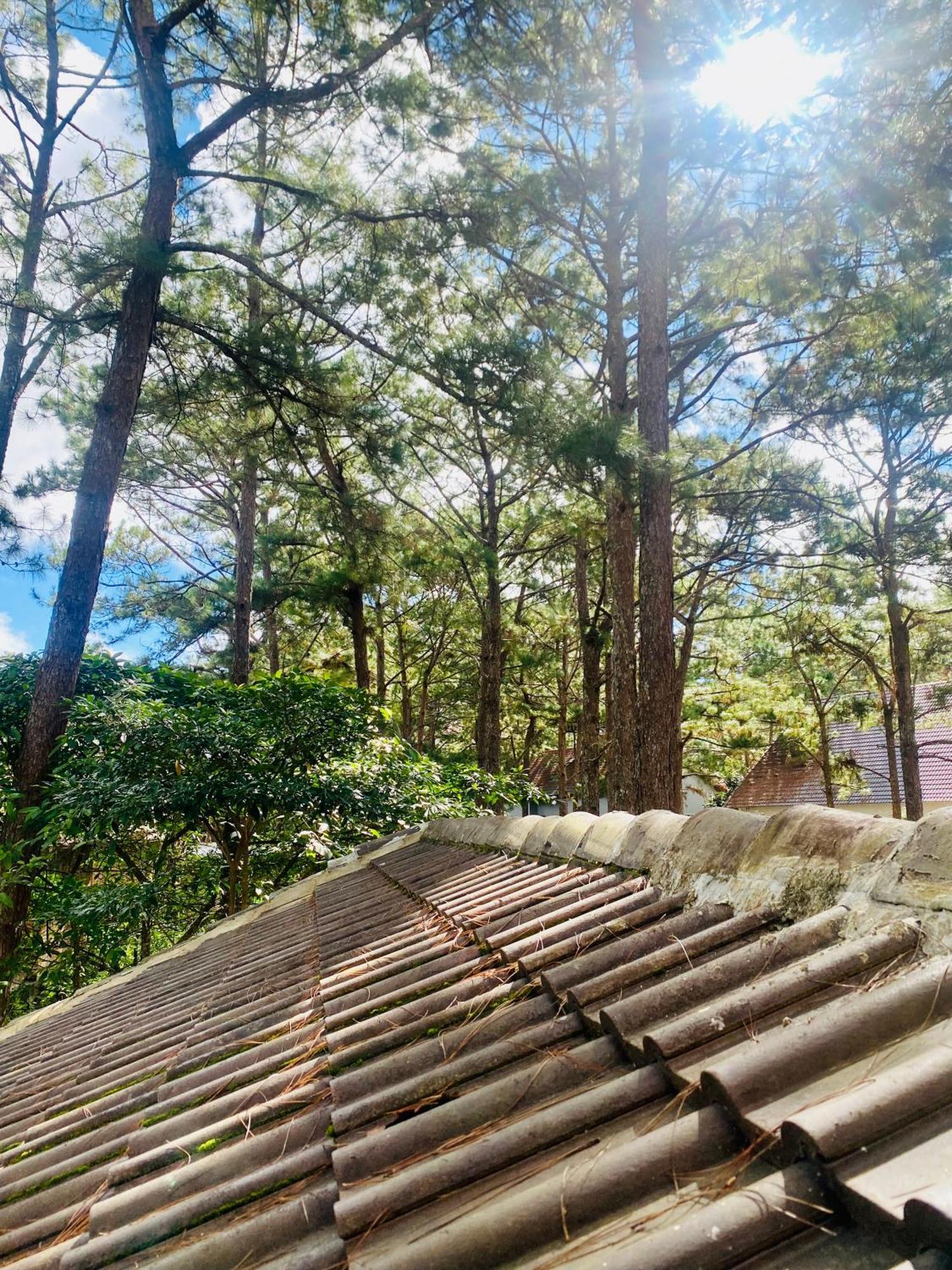 Tron Homestay Kon Von Kla Luaran gambar